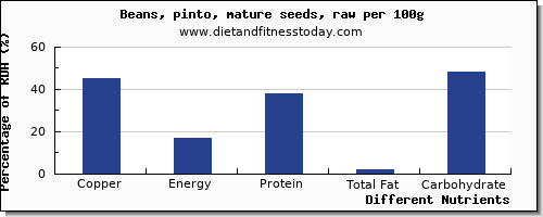 chart to show highest copper in pinto beans per 100g